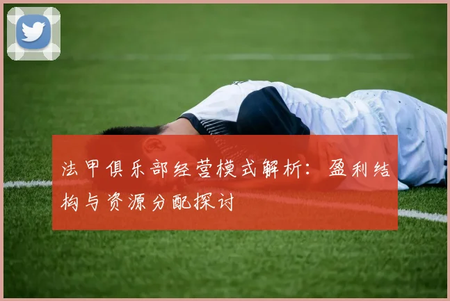 法甲俱乐部经营模式解析：盈利结构与资源分配探讨